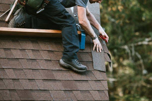 Best Roof Maintenance and Cleaning  in Waskom, TX